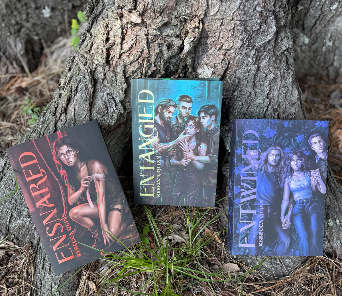 OVERSTOCK - REBECCA QUINN DUST JACKETS